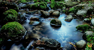 green and black stones on clear calm water during daytime, el rio HD wallpaper