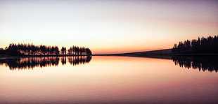 silhouette of body of water surrounded by trees HD wallpaper
