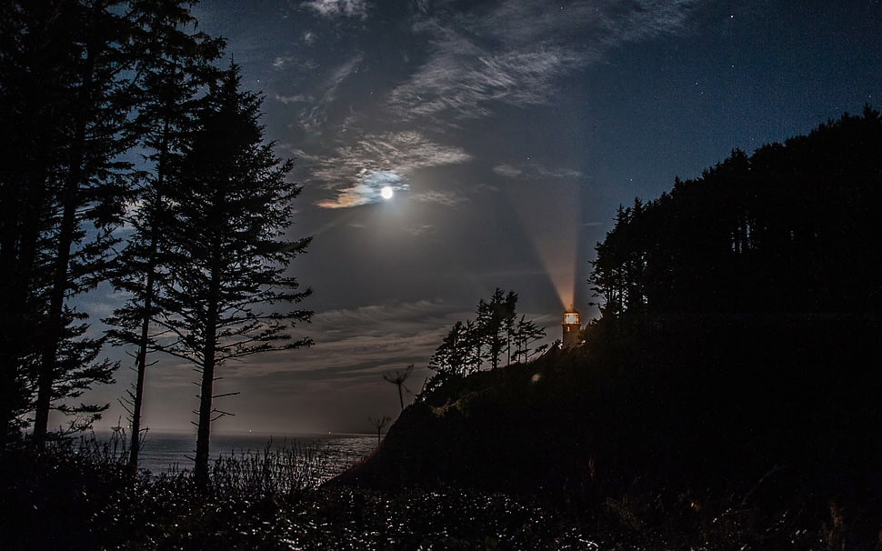 low angled view of lighthouse at nighttime HD wallpaper