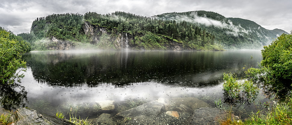 green trees in mountain beside body of water, norway HD wallpaper