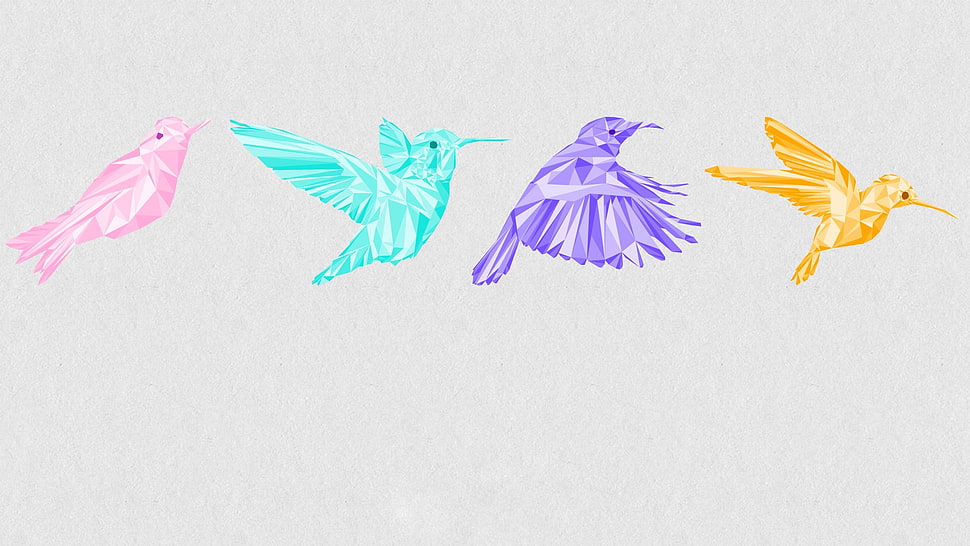 four birds graphics art, birds, low poly, animals, colorful HD wallpaper