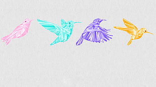 four birds graphics art, birds, low poly, animals, colorful