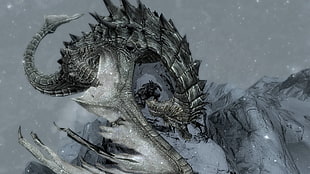gray dragon wall decor, The Elder Scrolls V: Skyrim, video games, dragon