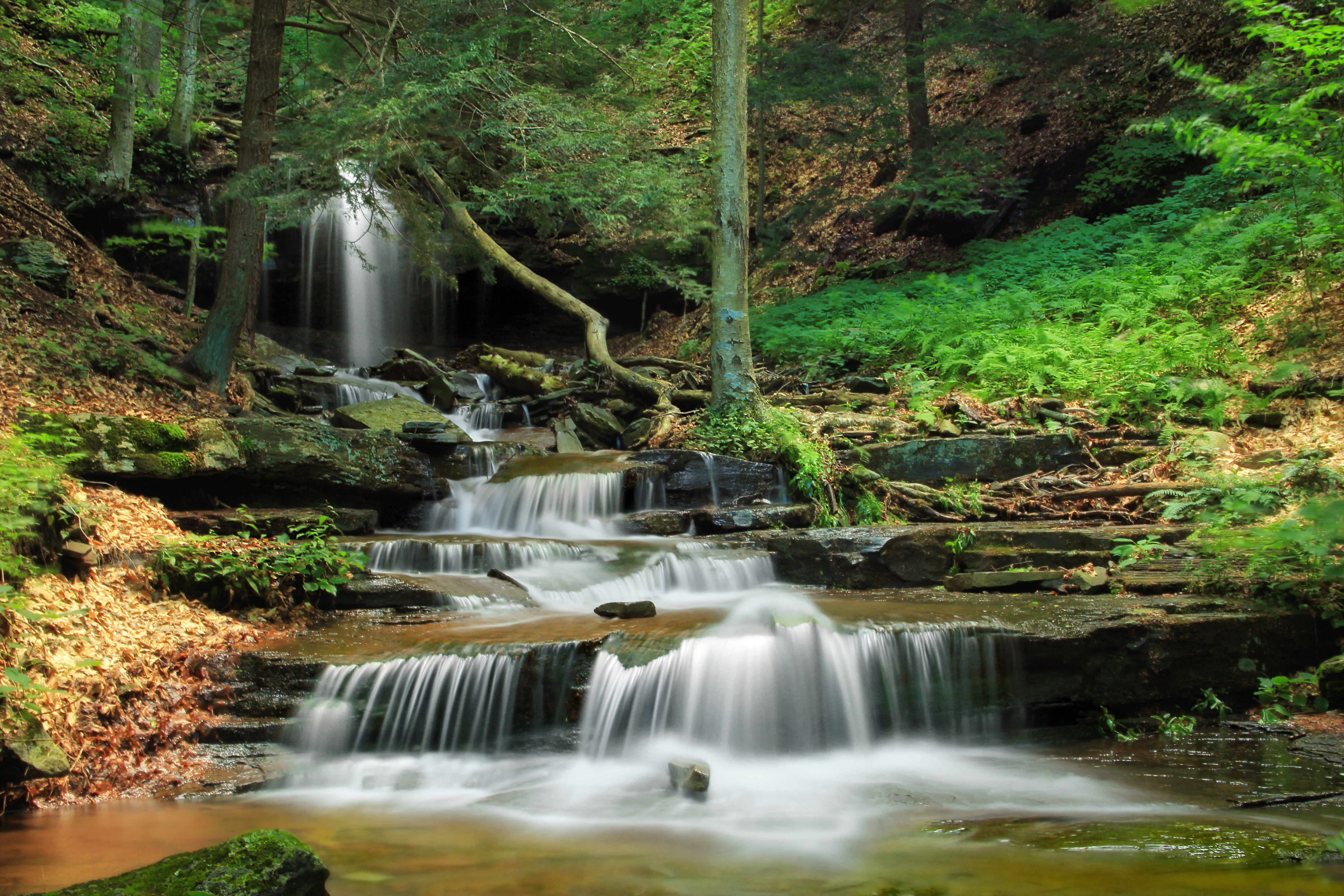 Видео со звуками природы. Водопад в лесу. Лесной водопад. Звучащая природа. Водопад в лесу фото.