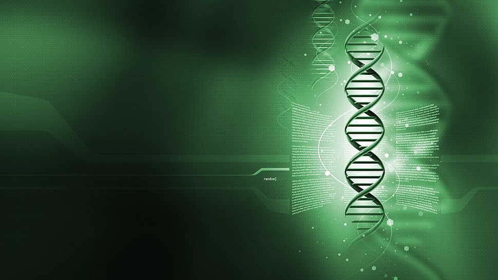 green DNA wallpaper, genetics, digital art HD wallpaper