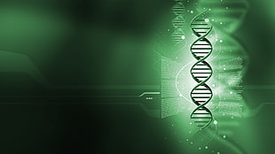 green DNA wallpaper, genetics, digital art
