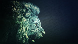 lion illustration, lion, minimalism, animals