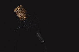 macro shot of black and bronze studio condenser microphone
