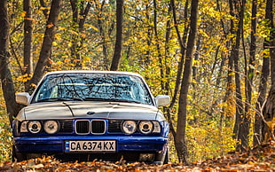 blue vehicle, car, BMW, blue cars, BMW E34 HD wallpaper