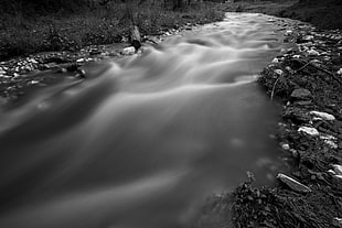 grayscale photo of river HD wallpaper