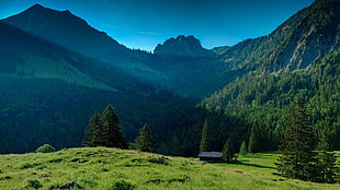 green grass field surrounded by green leaved trees near mountains during daytime