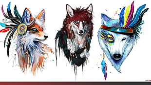 three wolves abstract painting, wolf, collage, animals, furry HD wallpaper