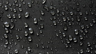 photography of rain drops, closeup, water drops
