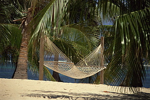 white hammock near sea