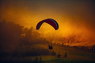 person parachute at daytime, nature, landscape, parachutes HD wallpaper