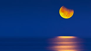 orange moon, nature, landscape, lunar eclipses, Moon HD wallpaper