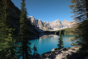 river between trees near at mountains, moraine lake, canada HD wallpaper
