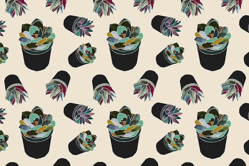 green leafed plant wallpaper, succulent, plants, pattern, lights HD wallpaper