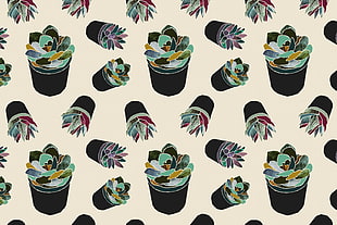 green leafed plant wallpaper, succulent, plants, pattern, lights