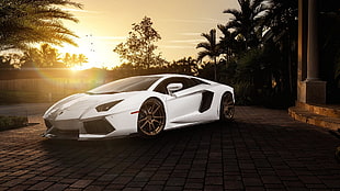 white Lamborghini Aventador HD wallpaper