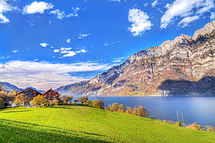 brown painted house with green grass field near calm body of water with mountain as background under the blue sky