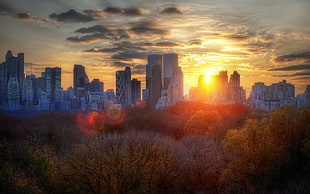 city buildings, Central Park, city, park, sunset