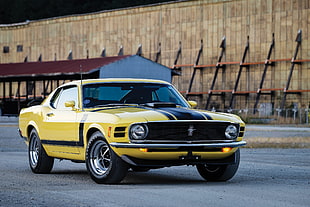 yellow Ford Mustang Boss 302