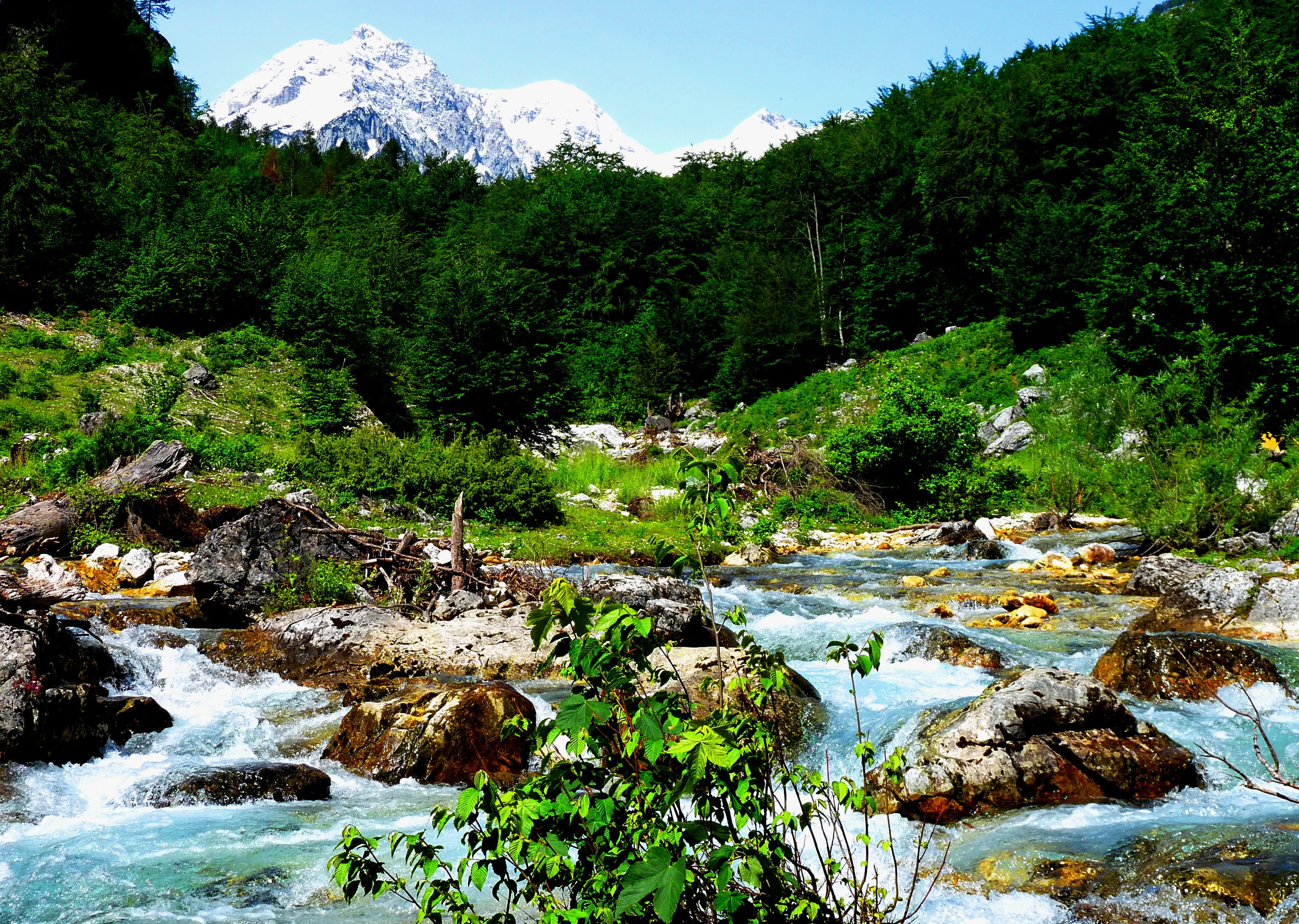 river and plants during daytime, albania