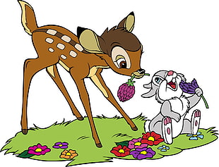deer and rabbit illustration