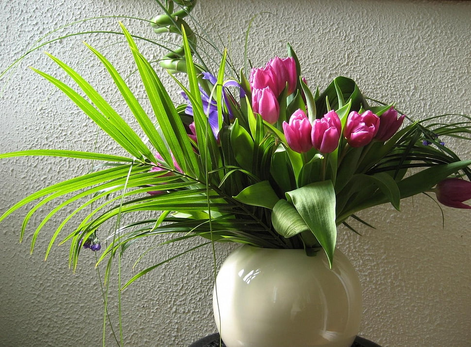 pink and green tulips with white ceramic vase inside the room HD wallpaper