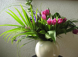 pink and green tulips with white ceramic vase inside the room