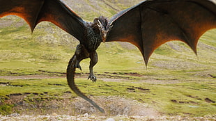 photo of brown dragon flying near green mountain