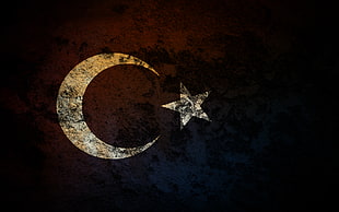 Turkey logo, Turkey, grunge