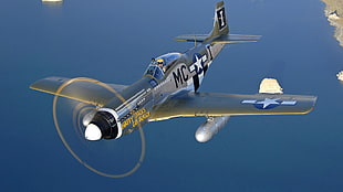 grey and brown MC airplane, North American P-51 Mustang