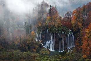 waterfalls near brown and green trees