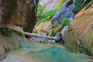 body of water, landscape, nature, Zion National Park