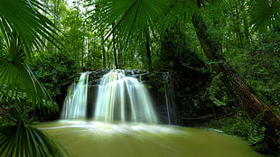 time lapse photo of waterfalls on middle of forest HD wallpaper