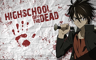 Highschool of the Dead anime HD wallpaper