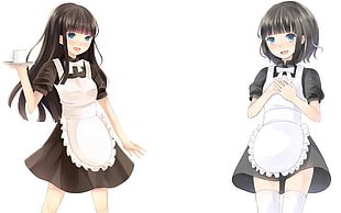 two black haired female wearing apron anime characters