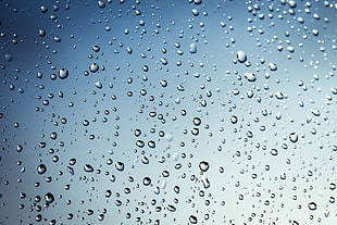 close up photography of raindrops HD wallpaper