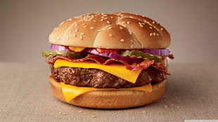 cheeseburger dish, burgers, food, fast food, cheese HD wallpaper