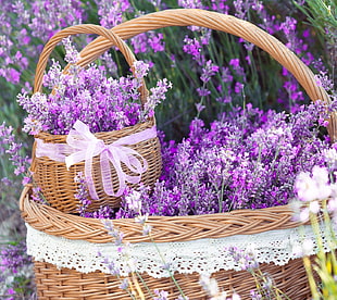 two round wicker brown baskets, flowers, lavender, baskets, purple flowers