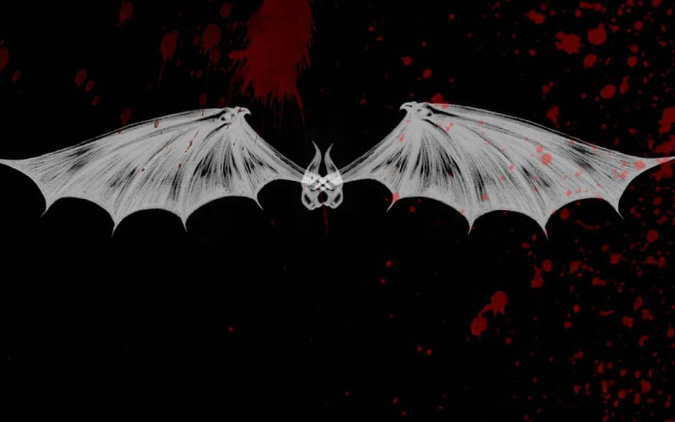 bat illustration, horror HD wallpaper