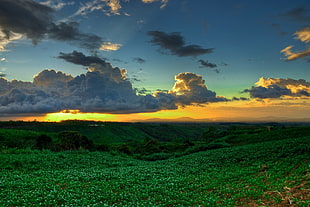 green meadows during sunset, bukidnon, philippines