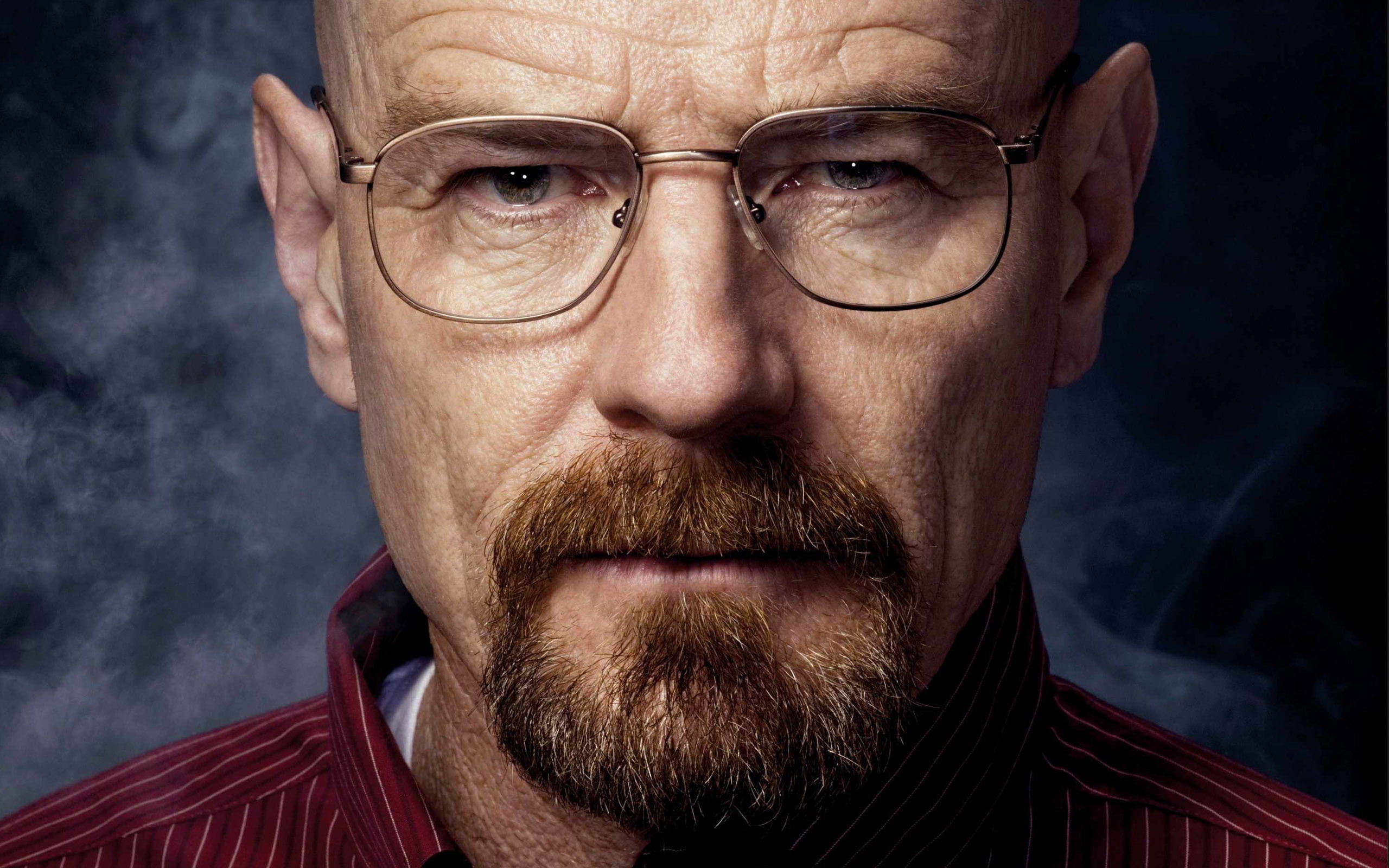 Walter White, Walter White, Breaking Bad, TV, men with glasses