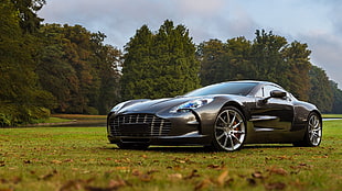 gray coupe, vehicle, sports car, car, Aston Martin