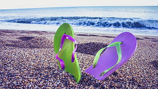 pair of green and purple flipflops