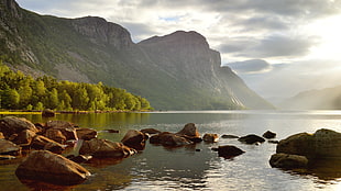 body of water, Norway, morning, fjord, trees