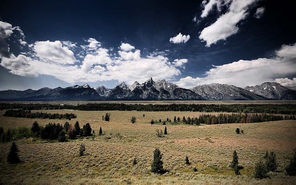 rocky mountains, mountains, horizon, clouds, trees HD wallpaper
