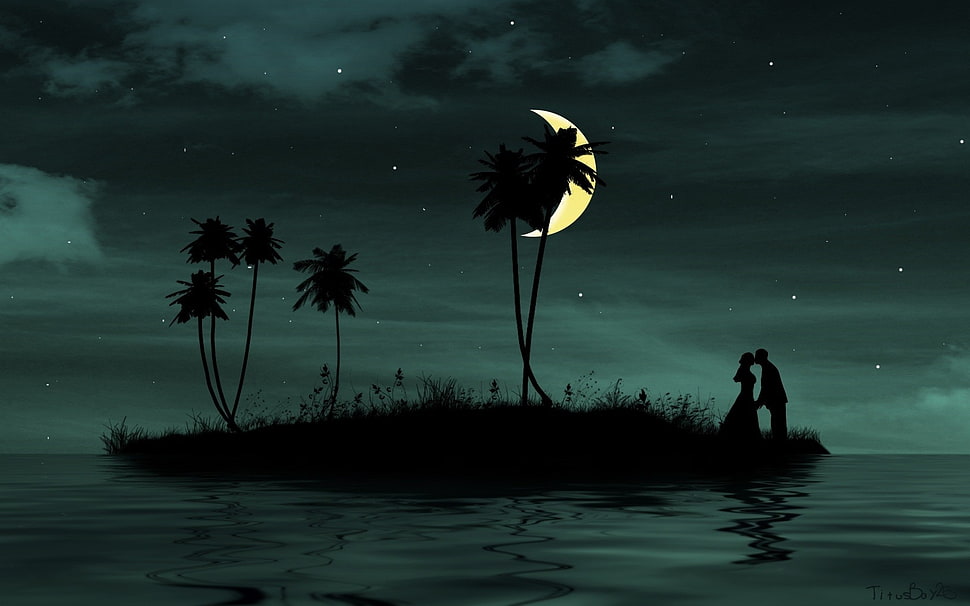 man and woman standing on island while kissing during nighttime HD wallpaper